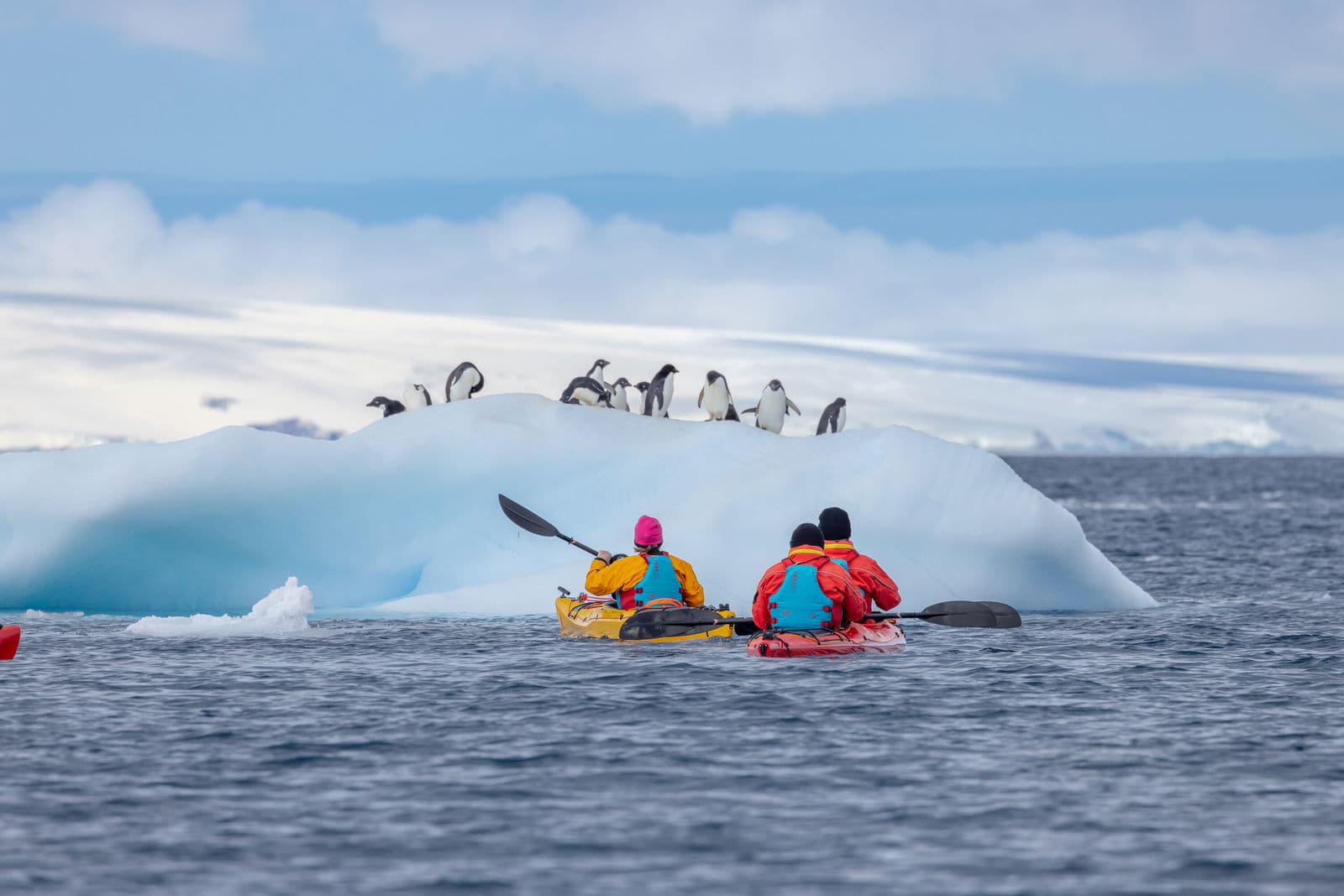Antarctic Peninsula Wonders